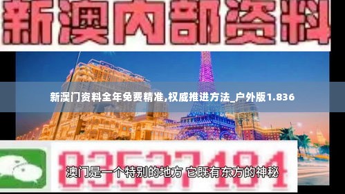 新澳门资料全年免费精准,权威推进方法_户外版1.836