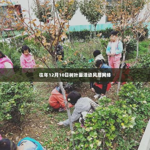 树叶画活动风靡网络,掀起创作热潮