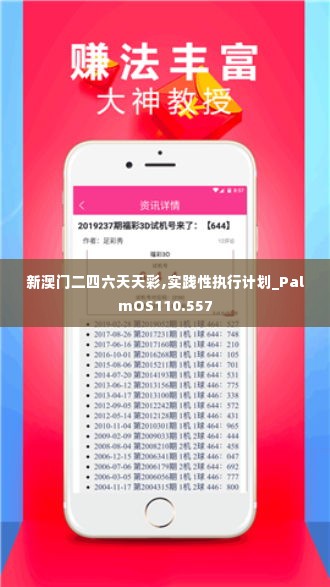 新澳门二四六天天彩,实践性执行计划_PalmOS110.557