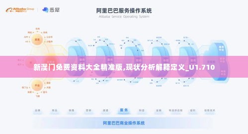 新澳门免费资料大全精准版,现状分析解释定义_U1.710