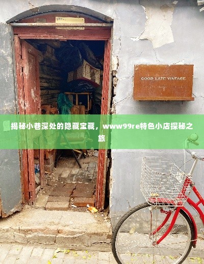 探秘小巷深处的隐藏宝藏,www99re特色小店深度游