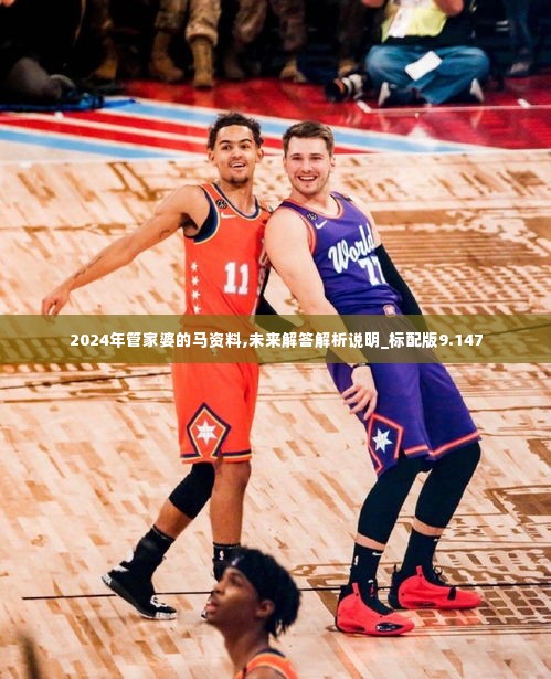 2024年管家婆的马资料,未来解答解析说明_标配版9.147