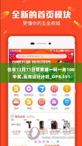 往年12月11日管家婆一码一肖100中奖,高效设计计划_OP4.551