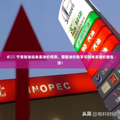 宁波加油站未来油价趋势预测,智能助手引领新生活,油价走势一网打尽!