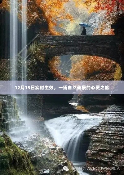 自然美景的心灵之旅,12月13日启程实时体验