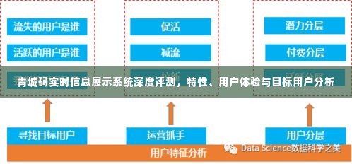 青城码实时信息展示系统深度解析,特性、用户体验及目标用户分析