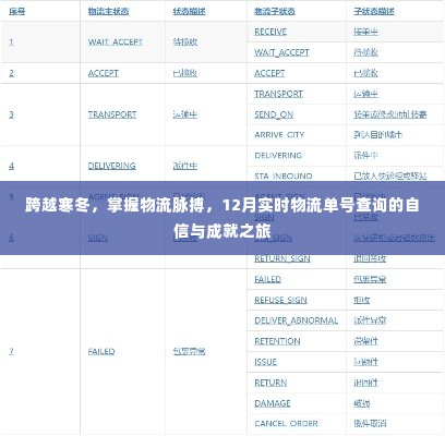 跨越寒冬,实时物流单号查询的自信与成就之旅