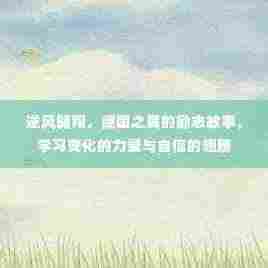 德国之翼逆风翱翔,励志故事中的力量与自信翅膀