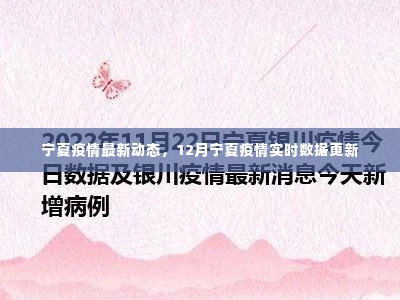 宁夏疫情最新动态，12月实时数据更新概况