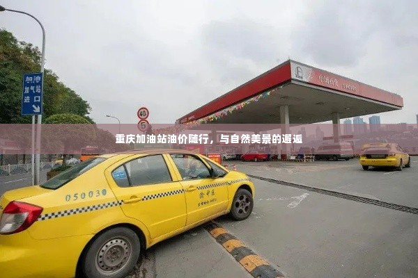 重庆加油站油价随行与美景相遇