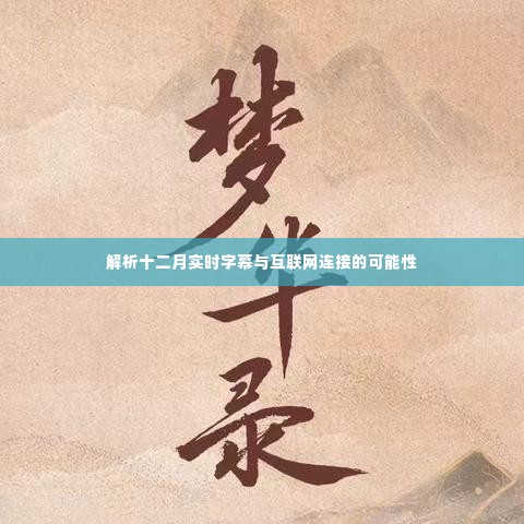 十二月实时字幕与互联网连接性的深度解析