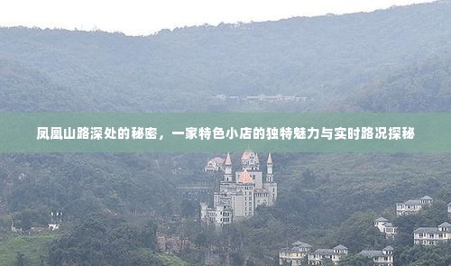 富贵不能淫 第6页