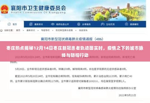 人前显贵 第5页