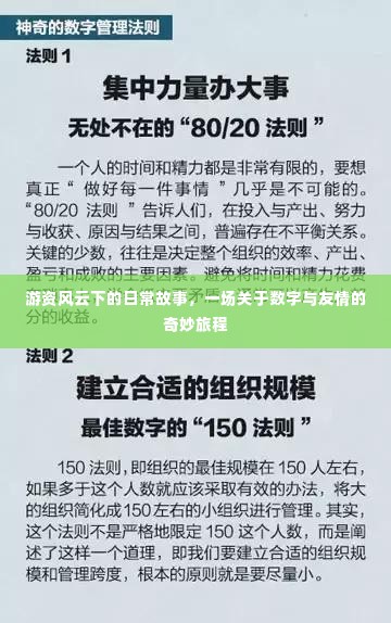 游资风云下的日常故事,数字与友情的奇幻旅程