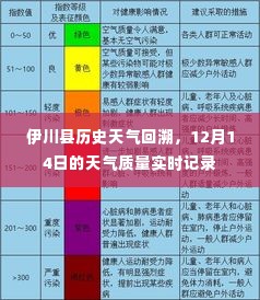 伊川县历史天气回顾,12月14日天气实时记录与回顾