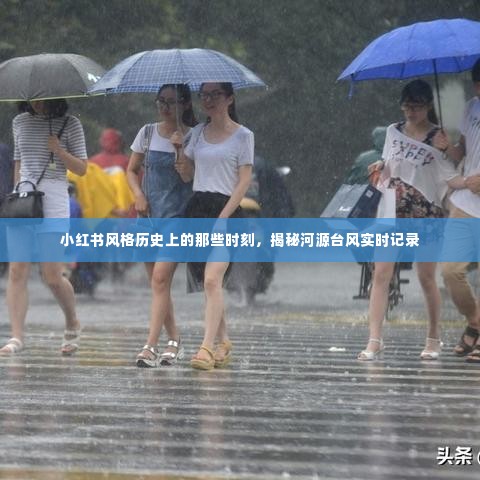 小红书风格回顾,河源台风实时记录揭秘