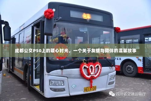 成都公交P50上的暖心时光,友情与陪伴的温馨篇章