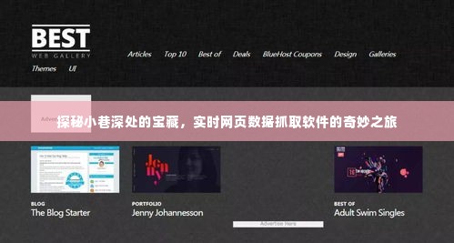 探秘小巷深处的宝藏,实时网页数据抓取软件的探索之旅