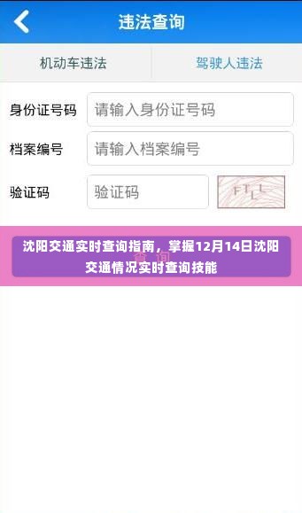沈阳交通实时查询指南,掌握最新交通动态,轻松查询沈阳交通情况