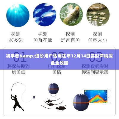 往年12月14日实时声呐探鱼全攻略，适合初学者与进阶用户一网打尽！