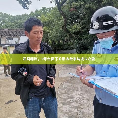 逆风翱翔,台风下的励志成长之旅