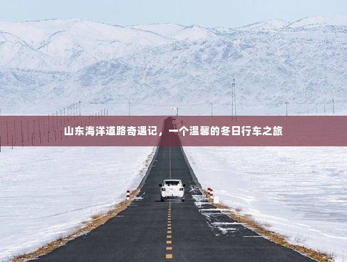 山东海洋道路奇遇记,冬日温馨行车之旅