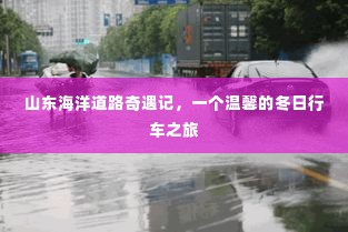 山东海洋道路奇遇记,冬日温馨行车之旅