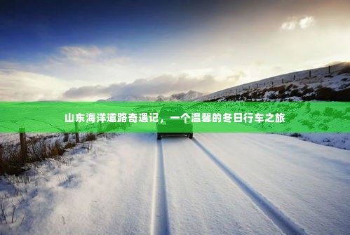 山东海洋道路奇遇记,冬日温馨行车之旅