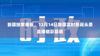 新疆独家播报,12月14日新闻头条直播精彩瞬间回顾