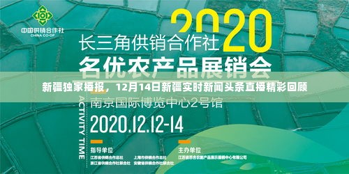 新疆独家播报,12月14日新闻头条直播精彩瞬间回顾