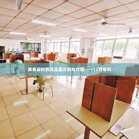 美泰实时情况深度评测与介绍——12月最新专刊报告