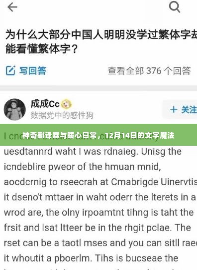 神奇翻译与暖心日常,文字魔法的魔法时刻(暖心记事中的翻译魔法)