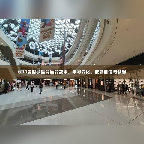 双11实时额度背后的故事,学习成长,自信追梦之路