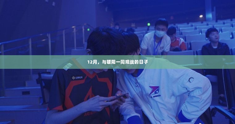 暖阳观战季,12月的战斗激情