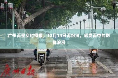 广州雨景实时播报,雨纷纷洒落,感受雨中的别样浪漫时光