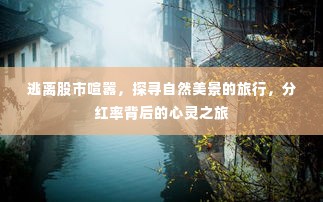 分红率背后的心灵之旅,逃离股市喧嚣探寻自然美景的旅行