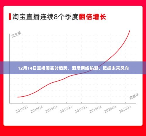12月14日直播间趋势解析,洞悉网络热潮,引领未来风向