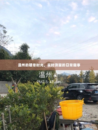 温州暖冬时光,日常趣事与实时测量体验