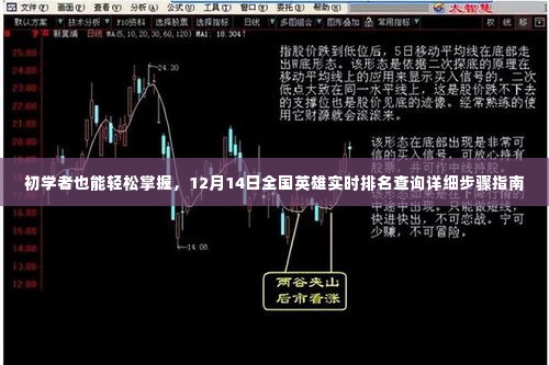 初学者也能轻松掌握,全国英雄实时排名查询详细步骤指南(12月14日更新)