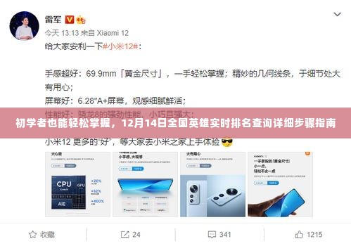 初学者也能轻松掌握,全国英雄实时排名查询详细步骤指南(12月14日更新)