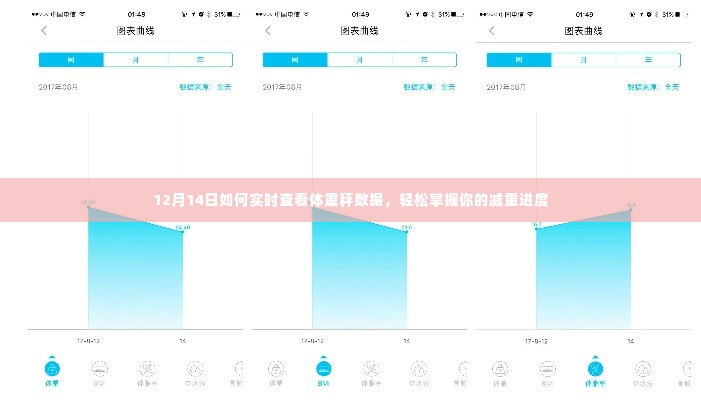12月14日实时查看体重数据，轻松掌握减重进度！
