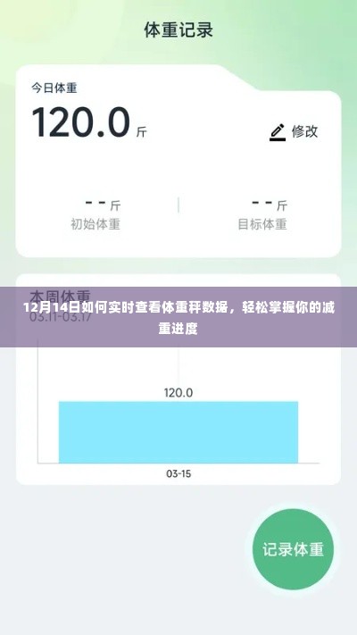 12月14日实时查看体重数据,轻松掌握减重进度!