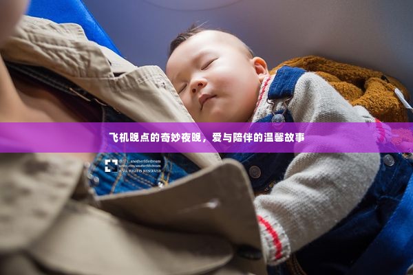 飞机晚点之夜,爱与陪伴的温馨篇章