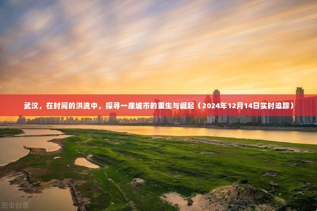 武汉重生与崛起的实时追踪,城市变迁的洪流(2024年12月14日)