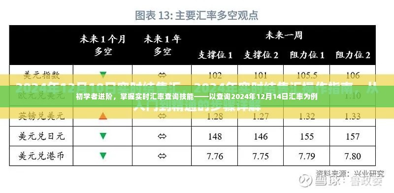 初学者进阶,掌握实时汇率查询技能——以查询特定日期的汇率为例(2024年12月14日)