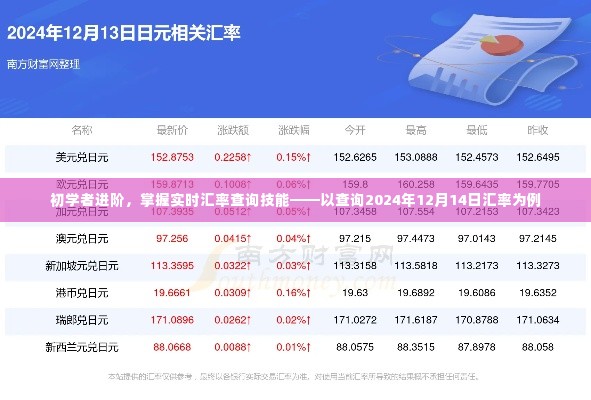 初学者进阶,掌握实时汇率查询技能——以查询特定日期的汇率为例(2024年12月14日)