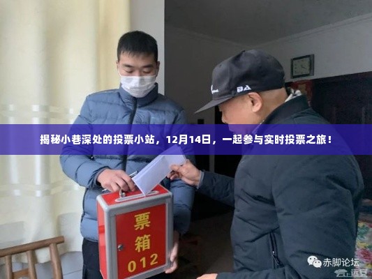 揭秘小巷深处的秘密投票站,实时投票之旅即将开启!