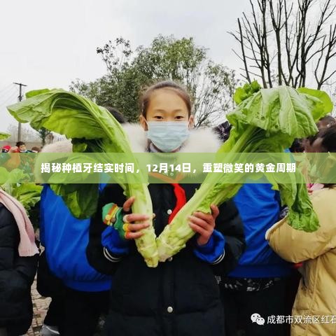 揭秘种植牙结实时间,重塑微笑的黄金周期在12月14日开启!