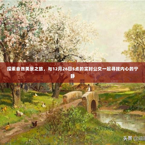 12月26日实时公交带你探索自然美景,寻找心灵宁静之旅