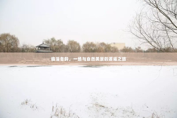 临淄冬韵,邂逅自然美景的冬日之旅